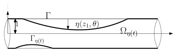 Blood flow through artery: deformation due to movement of elastic structure on the boundary