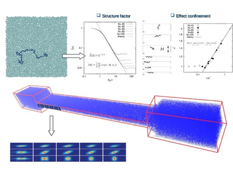 Figure 2 CFDMS