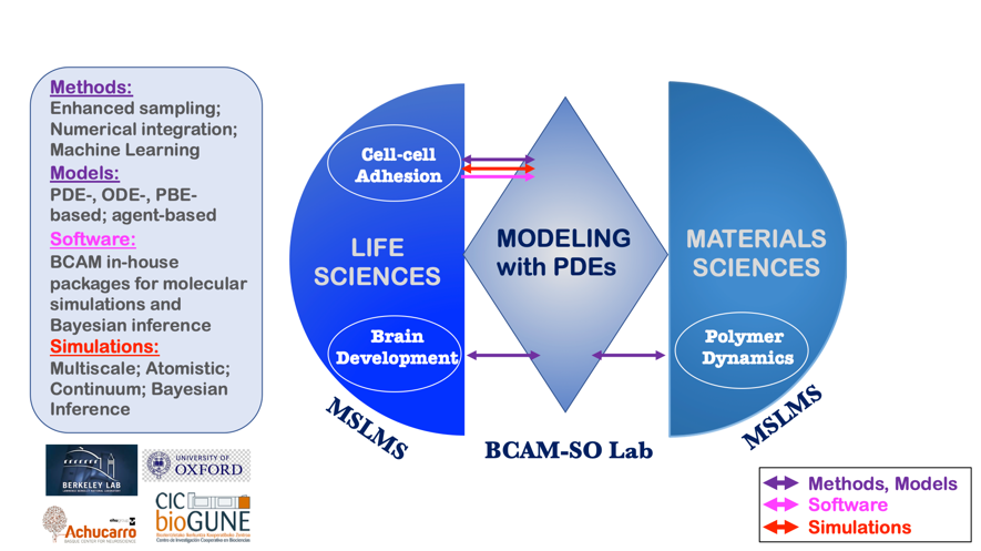 Figure4. MSLMS - BCAM-SO Lab synergy
