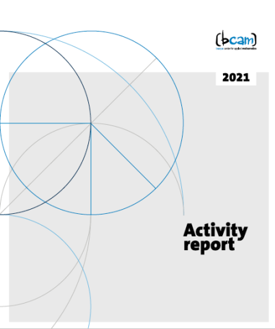 Activity Report 2021