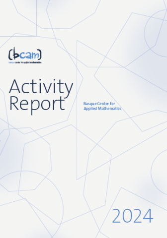 Activity Report 2024